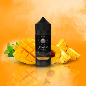 נוזל מילוי יעליק 0%/3%/6%/9% 100 מ"ל | Yaeliq e-liquid 100ml